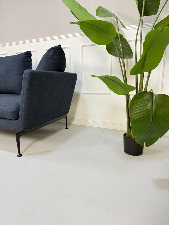 Image 1 of Vitra Suita Designer Sofa Blauw Klassiek Bank Kantoor Woonkamer