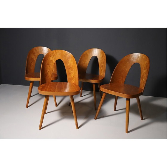 Image 1 of Set van 4 vintage beukenhouten stoelen van Antonín Šuman, Tsjecho-Slowakije