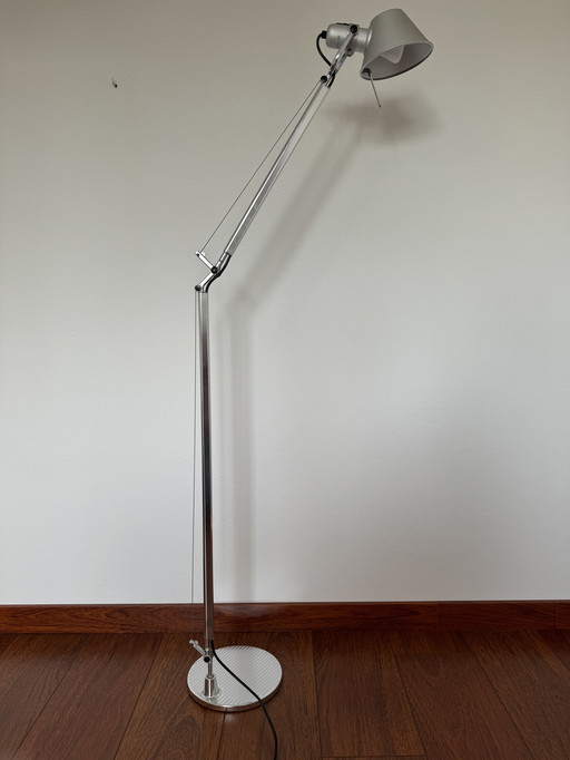 Artemide Tolomeo Lettura vloerlamp