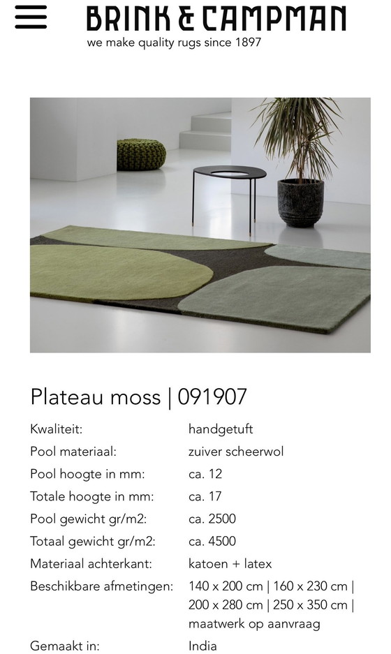 Image 1 of Brink & Campman Decor Moss Plateau Moss Tapijt 2 X 280