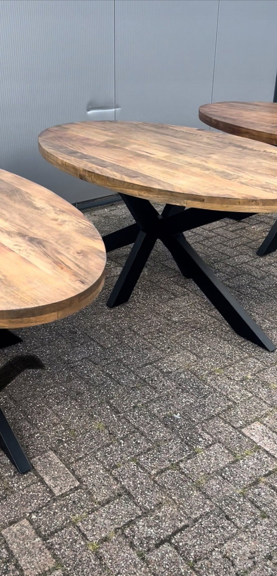 Image 1 of Eettafel Ovaal Naturel Mangohout Met Stalen Matrixpoot
