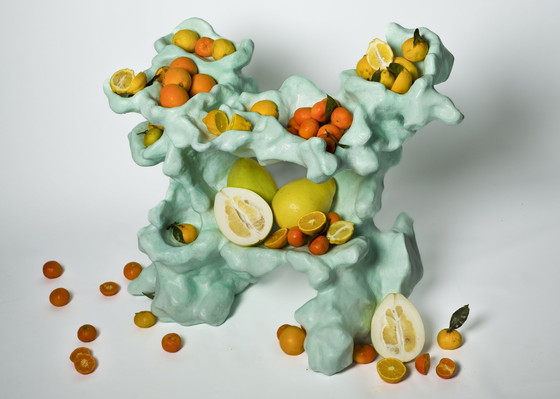 Image 1 of Gert Wessels - Citrus Saker