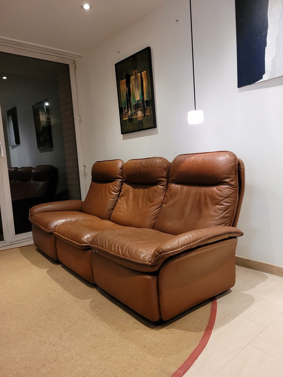 Image 1 of Vintage De Sede DS-49 zetels