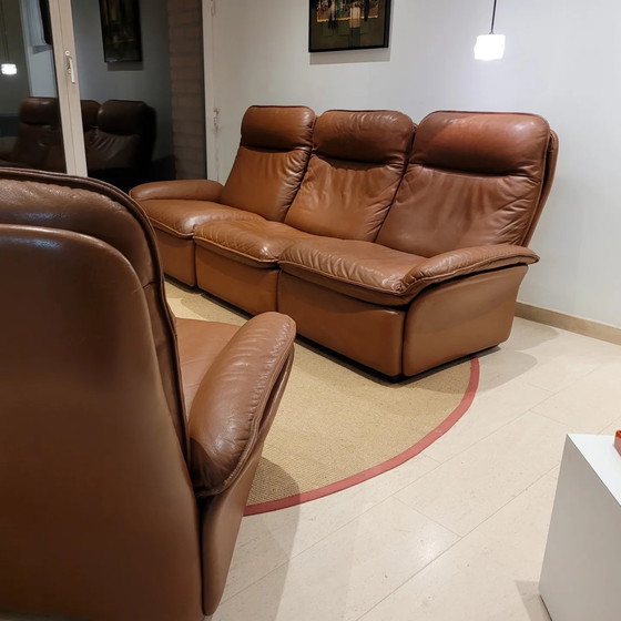 Image 1 of Vintage De Sede DS-49 zetels