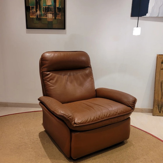 Image 1 of Vintage De Sede DS-49 zetels