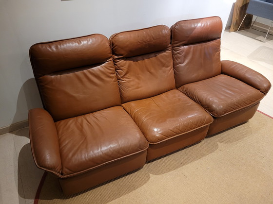 Image 1 of Vintage De Sede DS-49 zetels