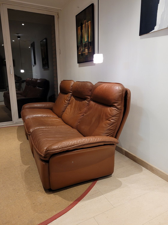 Image 1 of Vintage De Sede DS-49 zetels