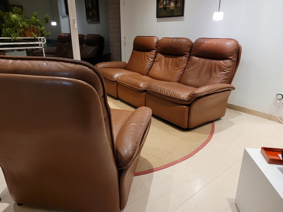 Image 1 of Vintage De Sede DS-49 zetels