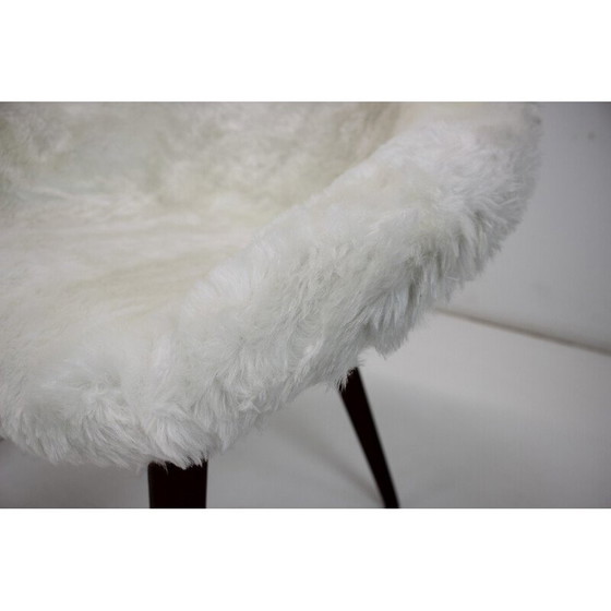 Image 1 of Paar vintage stoelen van Miroslav Navratil, Tsjecho-Slowakije 1960