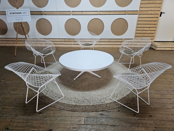 Image 1 of Knoll Bertoia Diamond Stoel Knoll International Vintage Studio Fauteuil