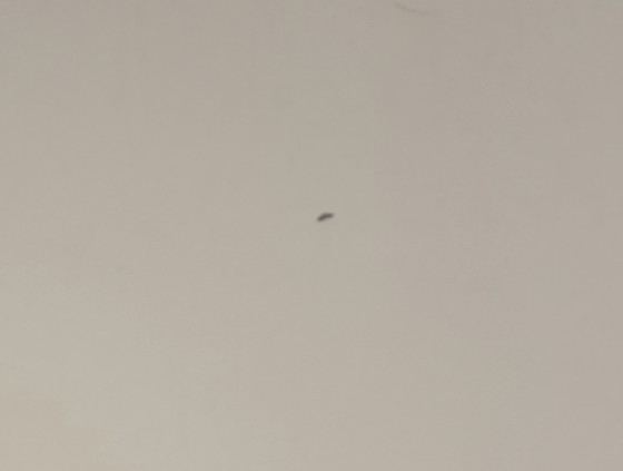 Image 1 of Pastoe Ladekast