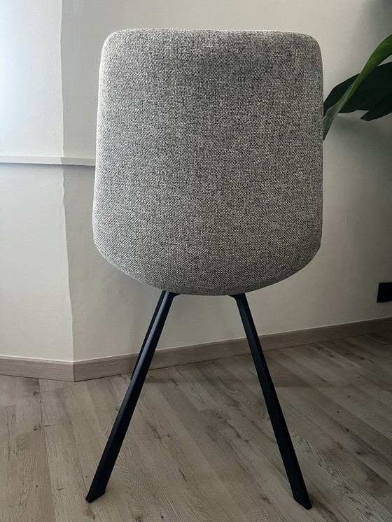 Image 1 of 6x Bradley Stoel