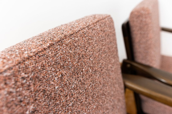 Image 1 of Paar Mid Century fauteuils B7522 van Zenon Bączyk, Polen, jaren 1960