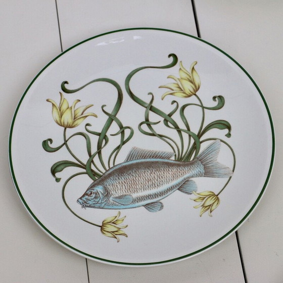 Image 1 of Vintage visservies van Villeroy en Boch, Duitsland