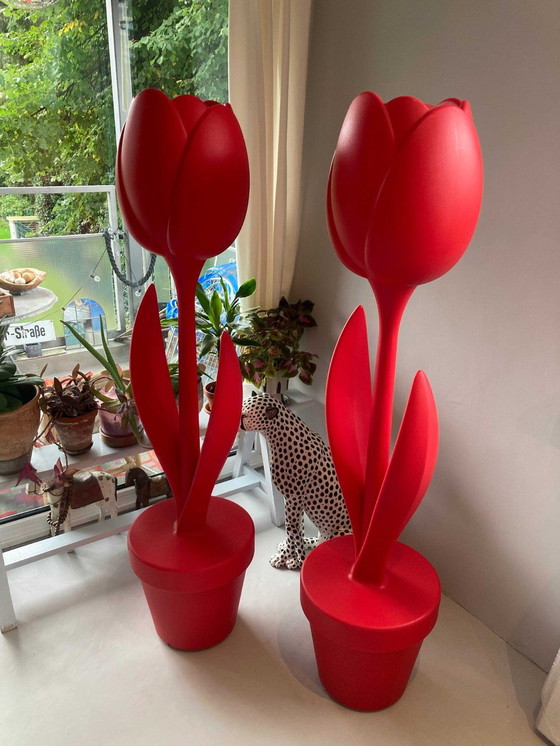 Image 1 of Myyour Tulpen Rood Tulp XL Rode buitenlichtsculptuur