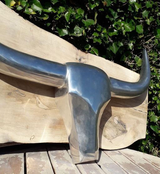 Ranch Longhorn Aluminium schedel met gewei 88 cm breed