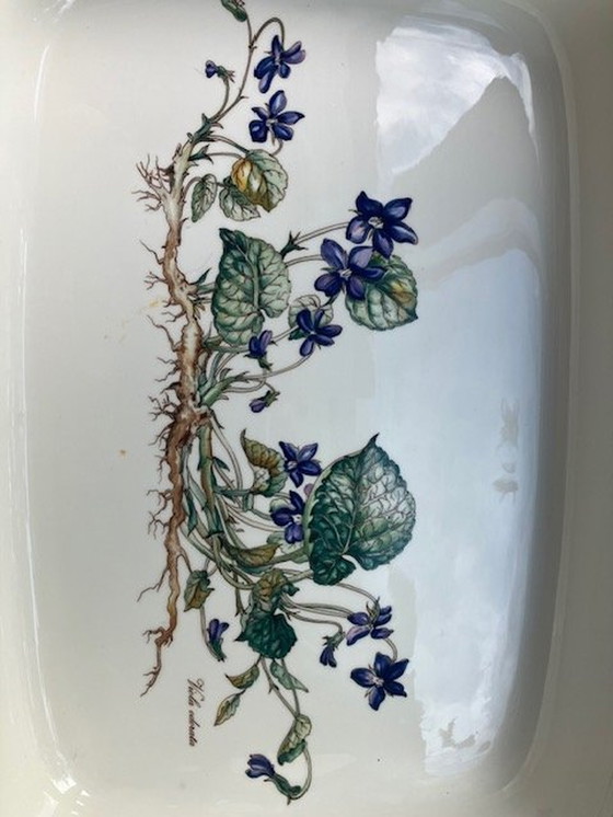 Image 1 of Villeroy&Boch Vilbofour Botanica