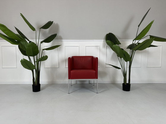 Image 1 of Brühl Fauteuil Randolph Designer Leer Rood