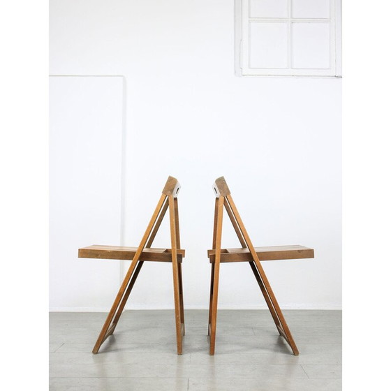 Image 1 of Paar vintage Trieste klapstoelen van Aldo Jacober