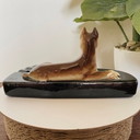 Vintage Art Deco terracotta hondenasbak