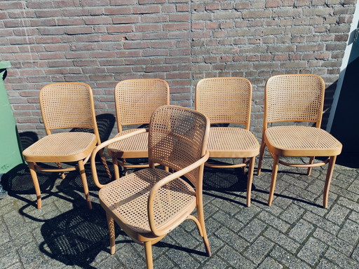 5x Thonet  Design Praag 811