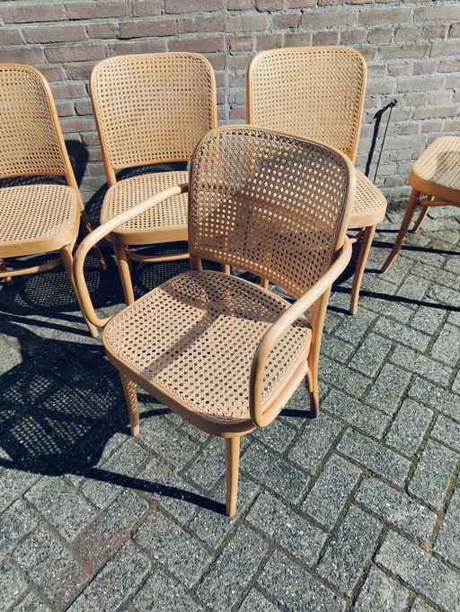 5x Thonet  Design Praag 811