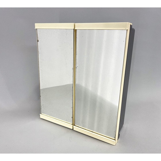 Image 1 of Vintage plastic wandkast met spiegel voor badkamer, 1960