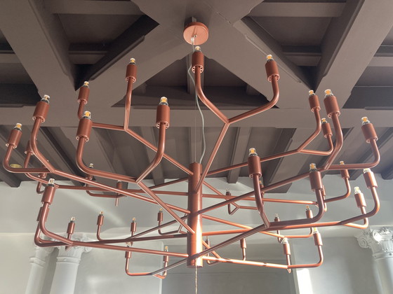 Image 1 of Axis 71 - grand siècle in copper - luster