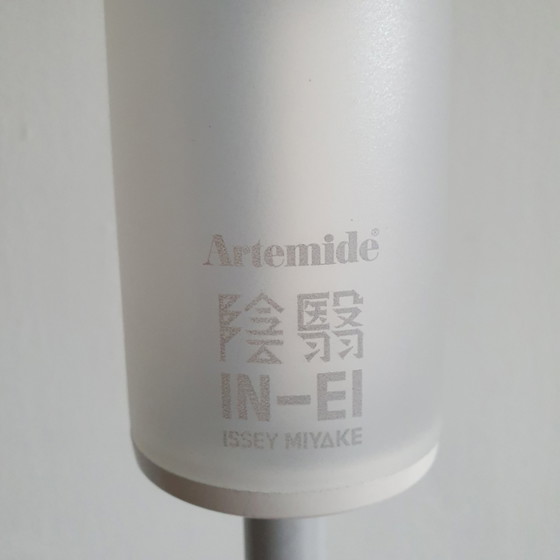 Image 1 of Artemide Miyake Minomushi ,IN EI Minomushi vloerlamp