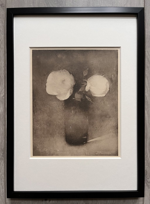 Jan Mankes 1889-1920 / Heliogravure Pioenrozen In Vaas 1923