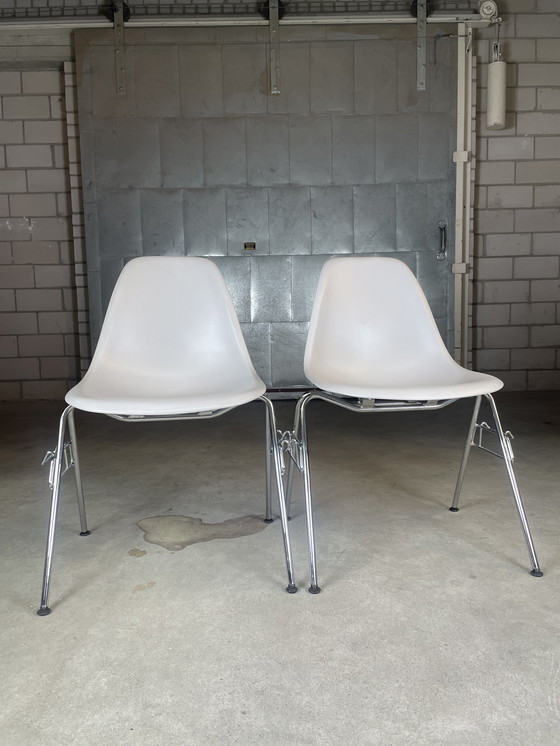 Image 1 of 6x Vitra Eames DSS chair