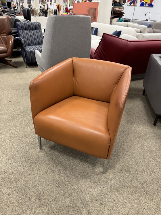 Image 1 of Rolf Benz 392 Fauteuil bruin leer