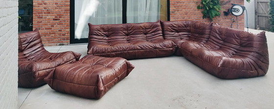 Image 1 of Set Togo Ligne Roset