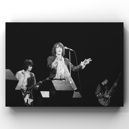 Rolling Stones, Den Haag Zuiderparkconcert 1976