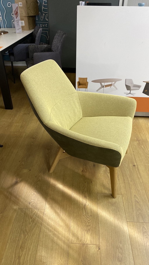 Zyba Fauteuil | Bert Plantagie 