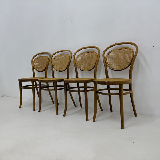 Image 1 of Set van 4 Bentwood Webbing Eetkamerstoelen / Bistro Stoelen , 1960S