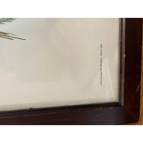 Image 1 of Vintage litho door Gould en Richter