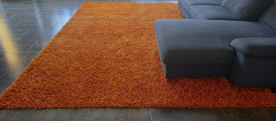 Image 1 of Living Carpets Handgeknoopt Hoogpolig Tapijt