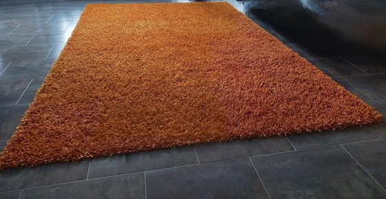 Image 1 of Living Carpets Handgeknoopt Hoogpolig Tapijt