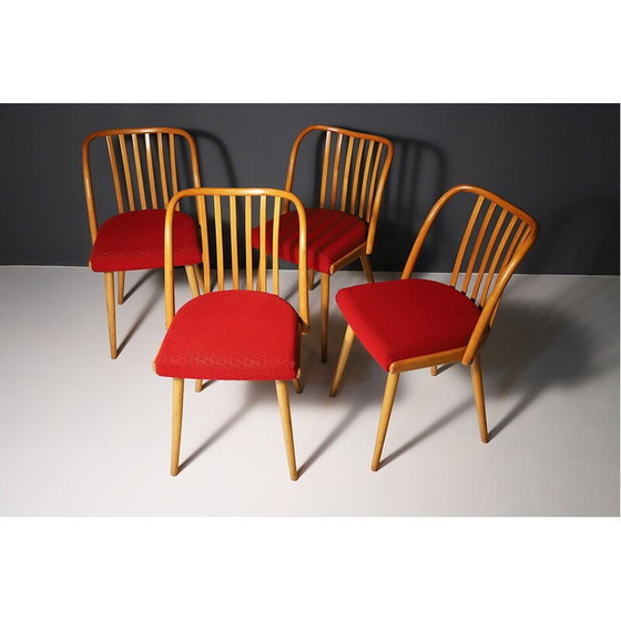 Image 1 of Set van 4 mid century eetkamerstoelen van Antonín Šuman, 1960