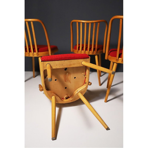 Image 1 of Set van 4 mid century eetkamerstoelen van Antonín Šuman, 1960