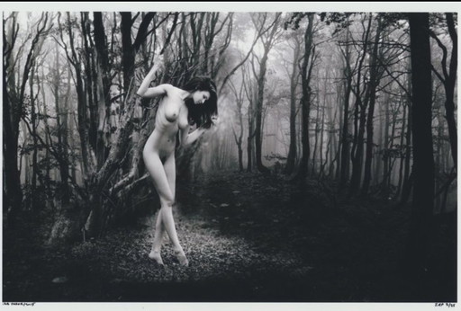 Izabela Tudor - Dancing In The Forest