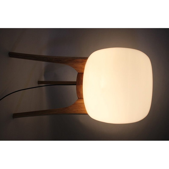 Image 1 of Vintage lamp van glas en eikenhout, 1970
