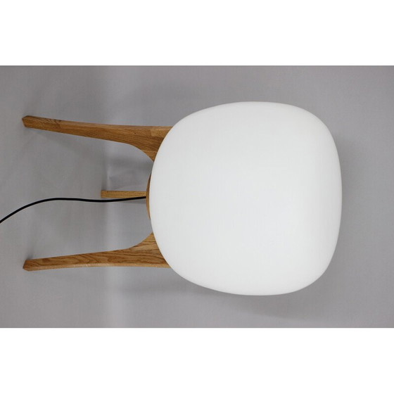 Image 1 of Vintage lamp van glas en eikenhout, 1970