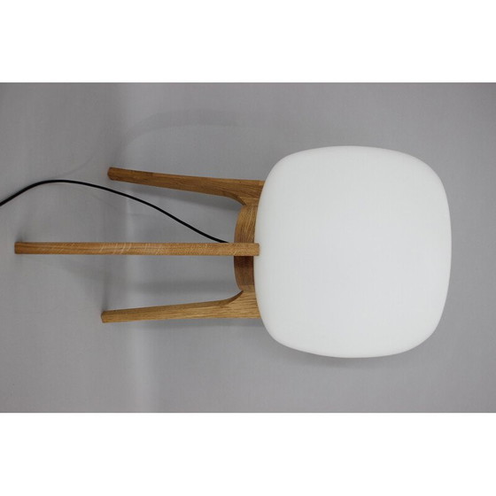 Image 1 of Vintage lamp van glas en eikenhout, 1970