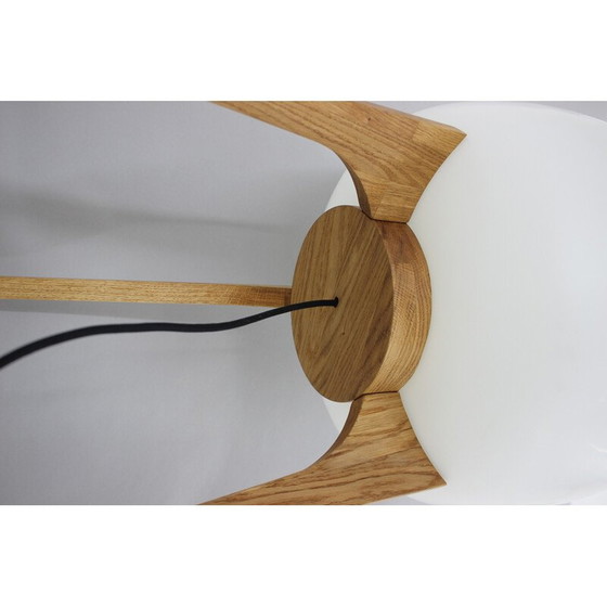 Image 1 of Vintage lamp van glas en eikenhout, 1970