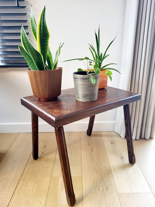 Massief Houten Bijzettafeltje Of Plantentafel Ingelegd Bovenblad, Landelijke Stijl, Brutalist