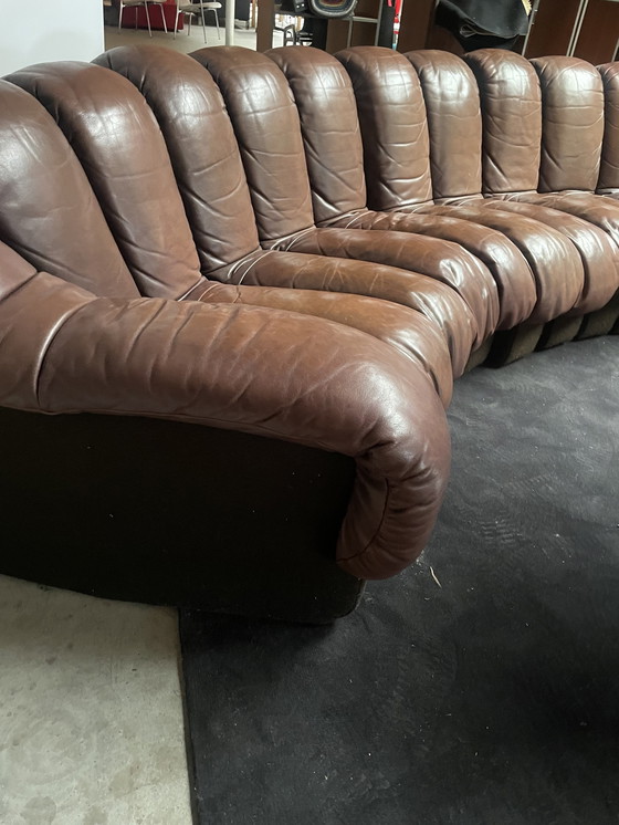 Image 1 of De Sede Ds600 Snake Sofa