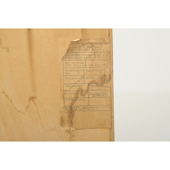 Image 1 of Vintage kast van essenhout en multiplex voor Novy Domov, Tsjecho-Slowakije 1970