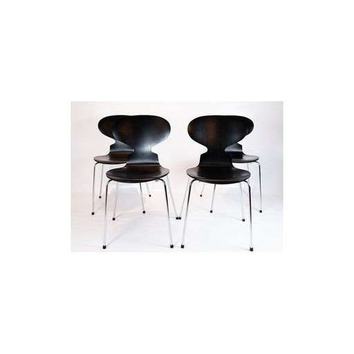 Lot van 4 vintage stoelen model 3101 by Arne Jacobsen by Fritz Hansen 2006